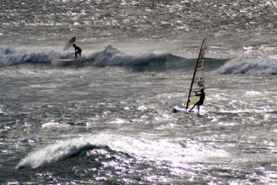Windsurfers