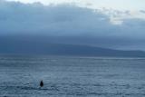 Surfer on Napili Bay