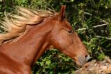 CRW_1236a.jpg