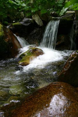 Creek along Indian springs trail