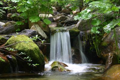 Creek along Indian springs trail