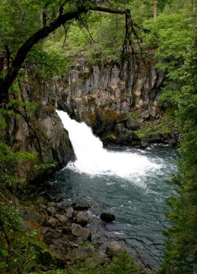 Upper Falls - McCloud River CA