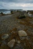 Naskeag Point - Brooklin Maine