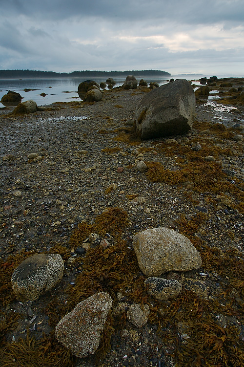 Naskeag Point - Brooklin Maine