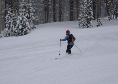 Fresh powder