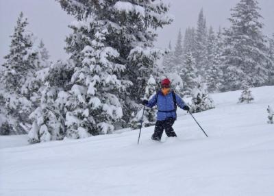 Fresh powder in Blue Sky Basin