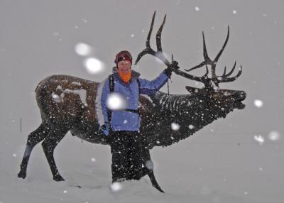 An elk at Two Elk