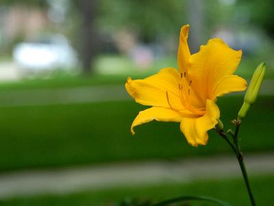 DSC_7474.jpg