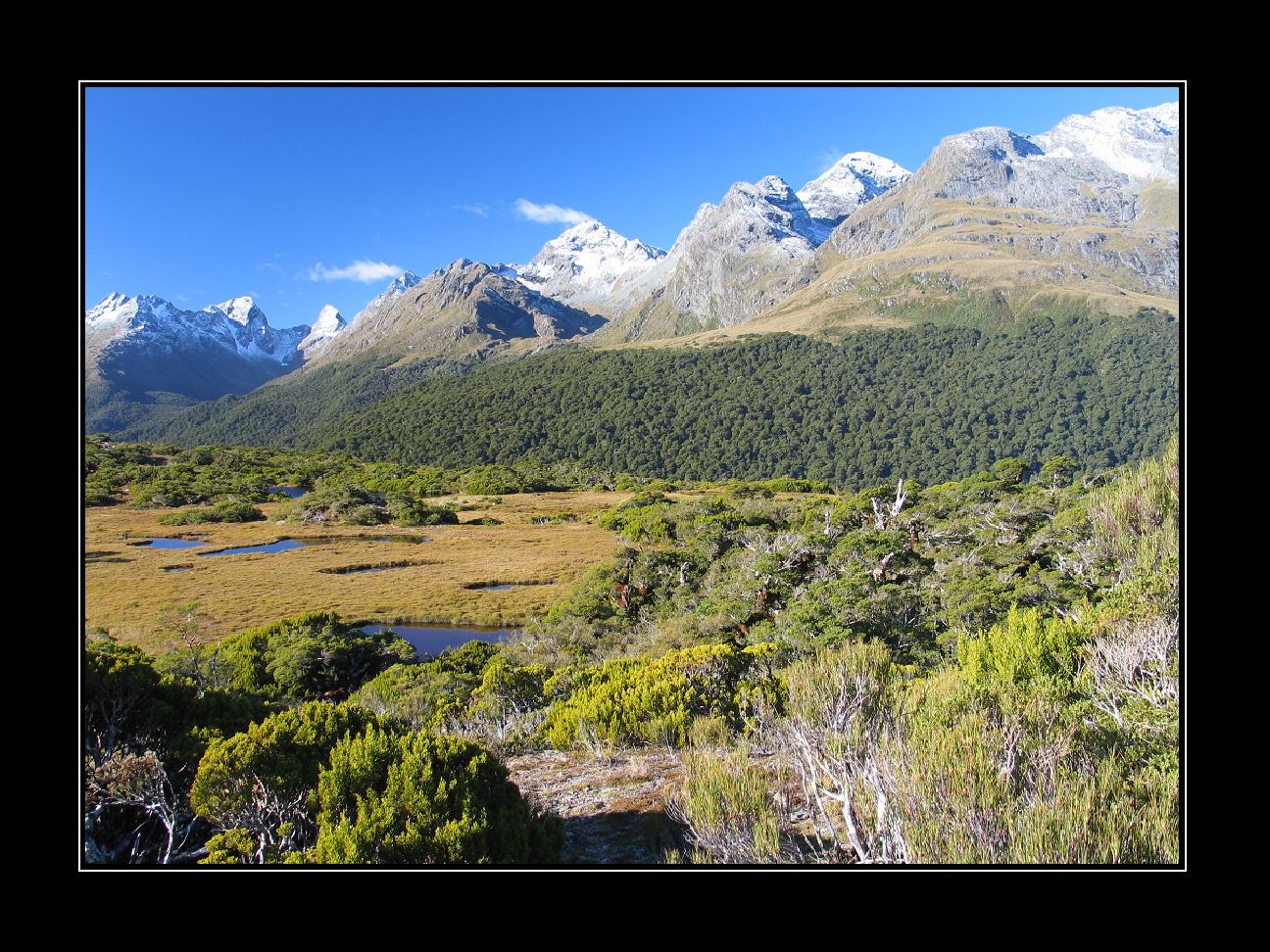 Key Summit Routeburn Track.JPG