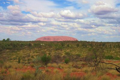 Uluru from resort.jpg