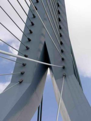 Pylon od Erasmus bridge is 120 m high
