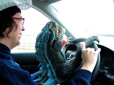 u45/josefiend/medium/29342879.festyjc.driving.jpg