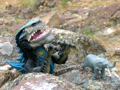 juan carlos loves tender baby elefantes! rawr!