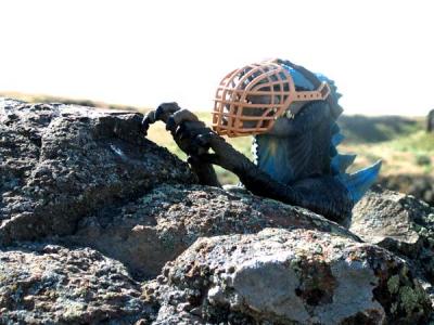 juan carlos is given a no biting/rock climbing training session.