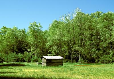 Shack.jpg