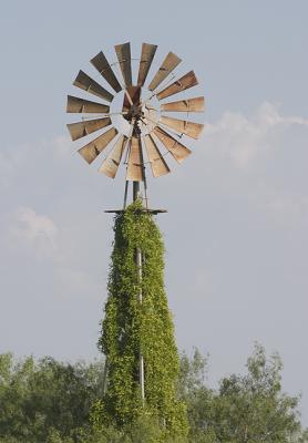 windmills