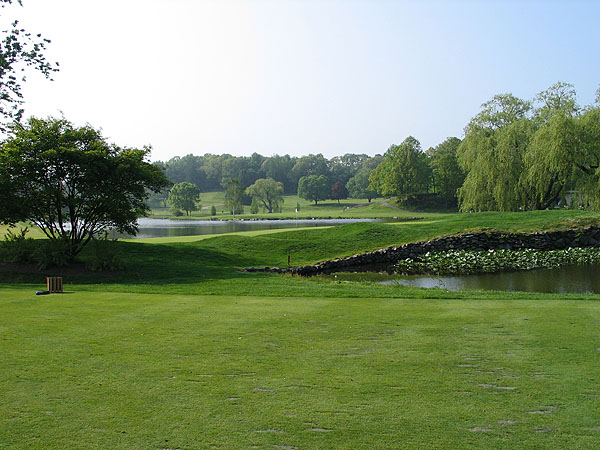 westchester_west_back9.jpg