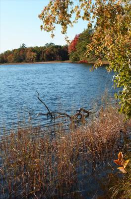 fall color on the potato rapids flowage