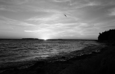 sunset in black and white at fish creek