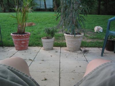 IMG_3037.JPG