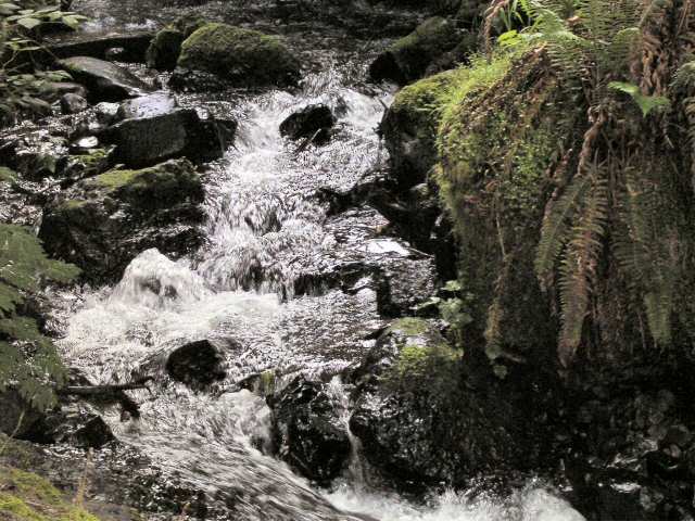 040517 Stream