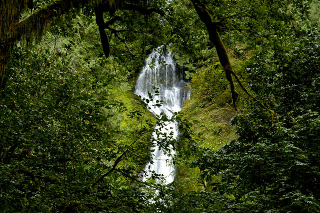 040912 Munson Creek Falls