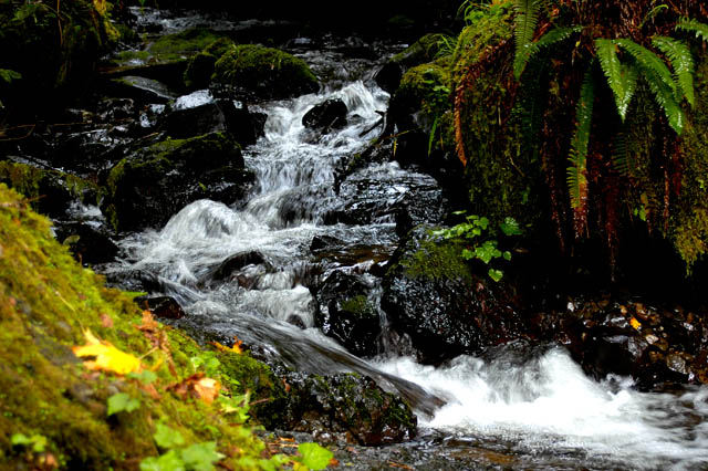 040912 Munson Creek