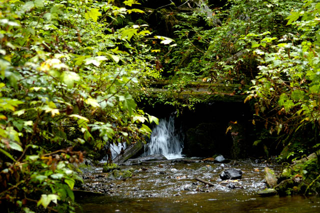 040912 Munson Creek