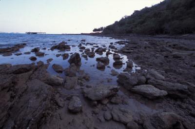 Image1024.jpg