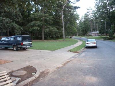 newlawn1.jpg