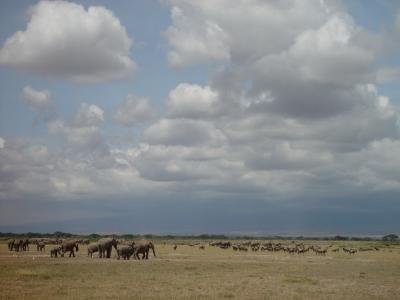 Kenya 1208.jpg