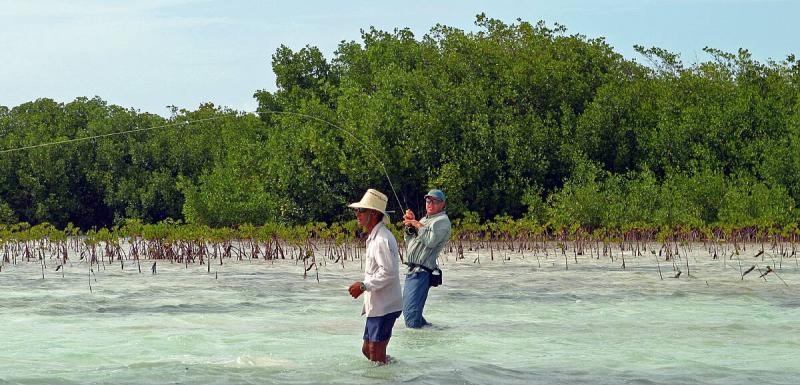 Cayo Coco, Cuba