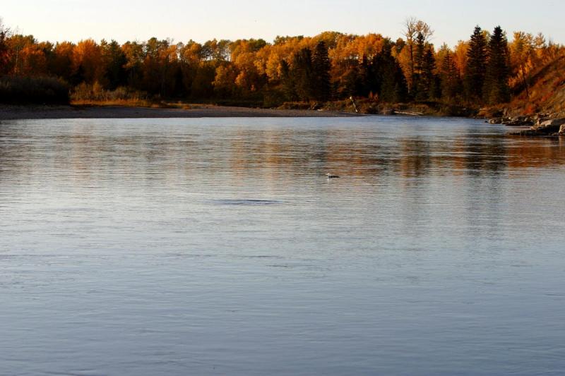 Fall, 2003