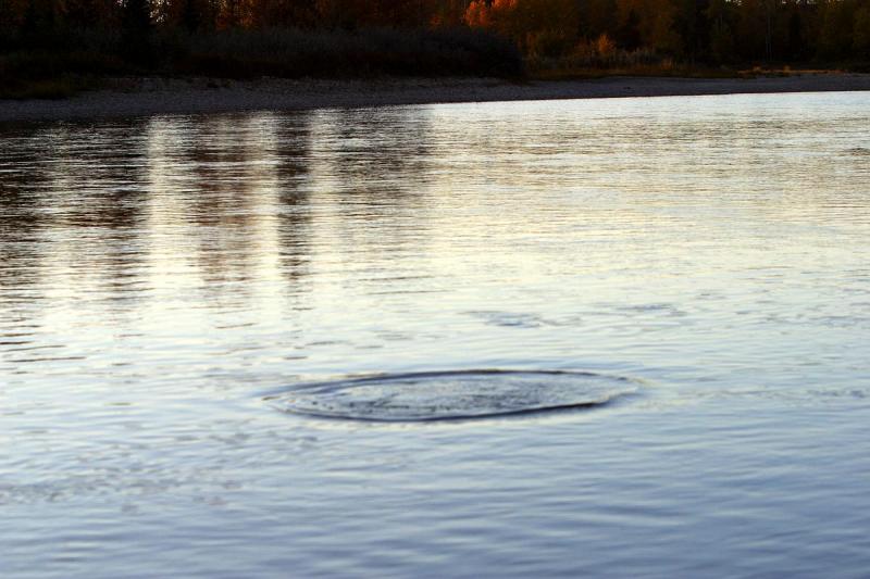 Fall, 2003