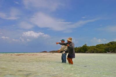 Cayo Coco, Cuba