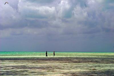 Cayo Coco, Cuba