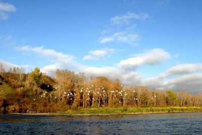 Bow River