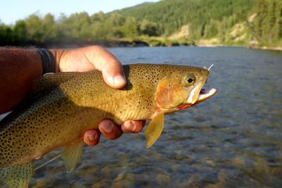 Elk Valley Trip, July 2003