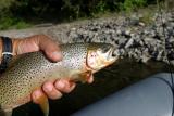 Elk Valley Trip, July 2003