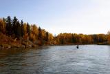 Fall, 2003