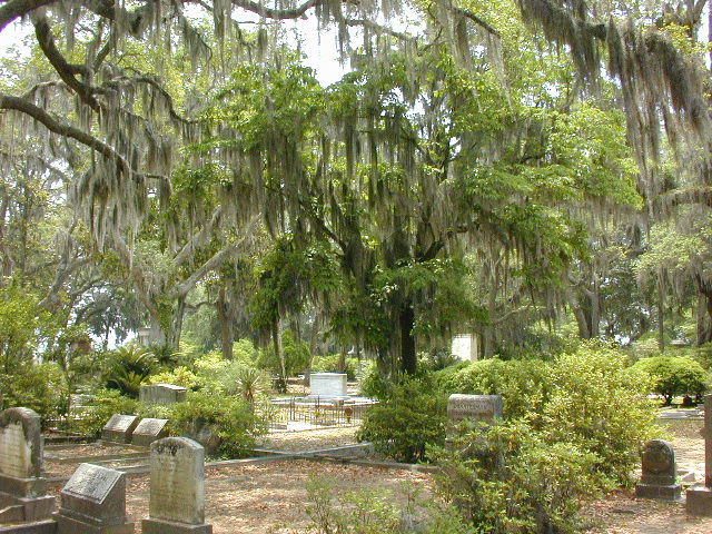 A bodaicous area of the Park