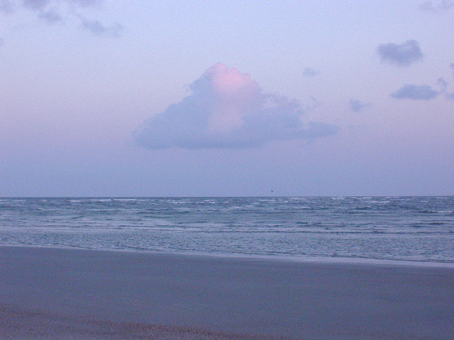 The beach at sunset