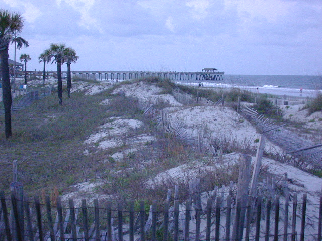 The beach at sunset