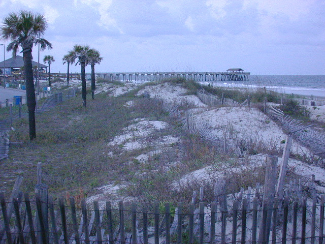 The beach at sunset