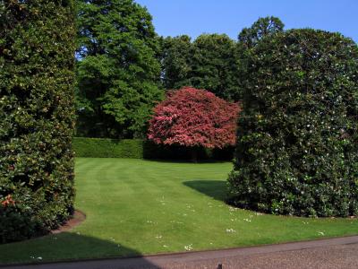 foliage at kensington palace.jpg