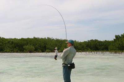 u45/ksproule/medium/29063407.IMG_3242.jpg