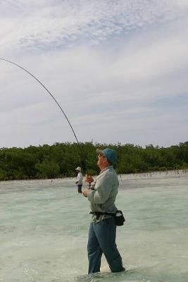 u45/ksproule/medium/29063408.IMG_3243.jpg