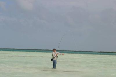 u45/ksproule/medium/29063409.IMG_3244.jpg