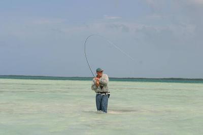 u45/ksproule/medium/29063410.IMG_3245.jpg