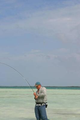 u45/ksproule/medium/29063412.IMG_3247.jpg